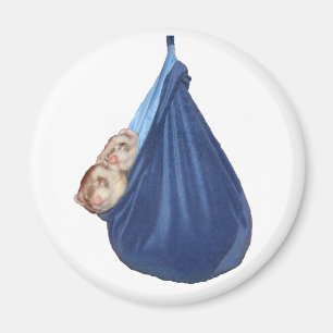 Aimant Furets dans l'aimant de sac de couchage d'A
