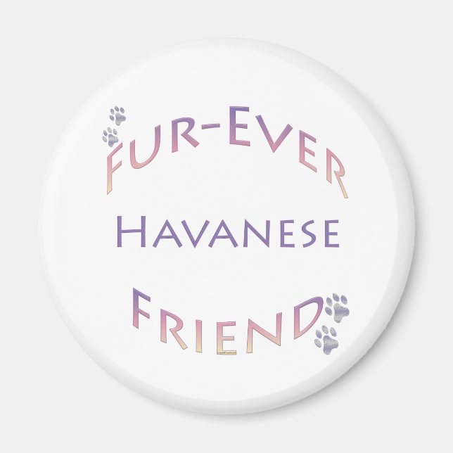 Aimant Furever Havanais (Devant)