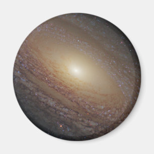 Aimant Galaxie Spirale Ngc 2841