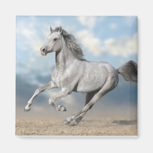 Aimant Galeries de Chevaux Gris Arabe À Travers Le Paysag