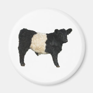 Aimant Galloway Steer Cutout