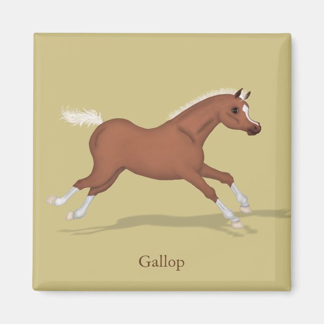 Aimant Galoping Sorrel Foal Gaits of the Horse (Devant)