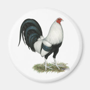 Aimant Gamecock argenté