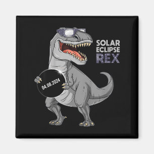 Aimant Garçons drôles éclipse solaire Rex 04 08