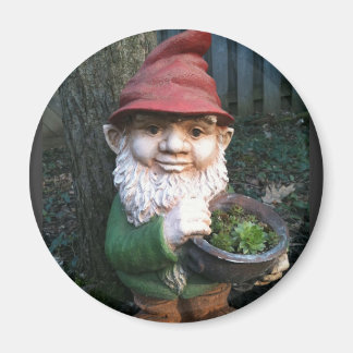 Aimant Garden Gnomes