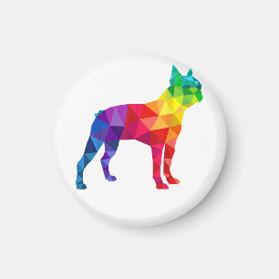 Aimant Gay pride de Boston LGBT LGBT LGBTQ Rainbow Flag D