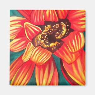 Aimant Gazania fleur du désert art par Sacha Grossel