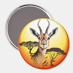 Aimant Gazelle Antelope africaine animal sauvage
