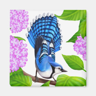 Aimant Geai bleu dans l'aimant d'oiseau d'hortensias