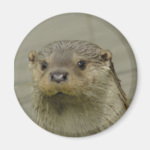 Aimant géant de loutre de rivière