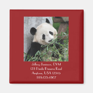 Aimant Géant Pandas Vétérinaire Vétérinaire Offre promoti
