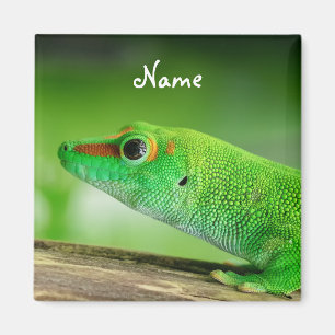 Aimant Gecko de la Journée verte - Phelsuma grandis 