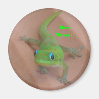 Aimant Gecko Gold Dust Day