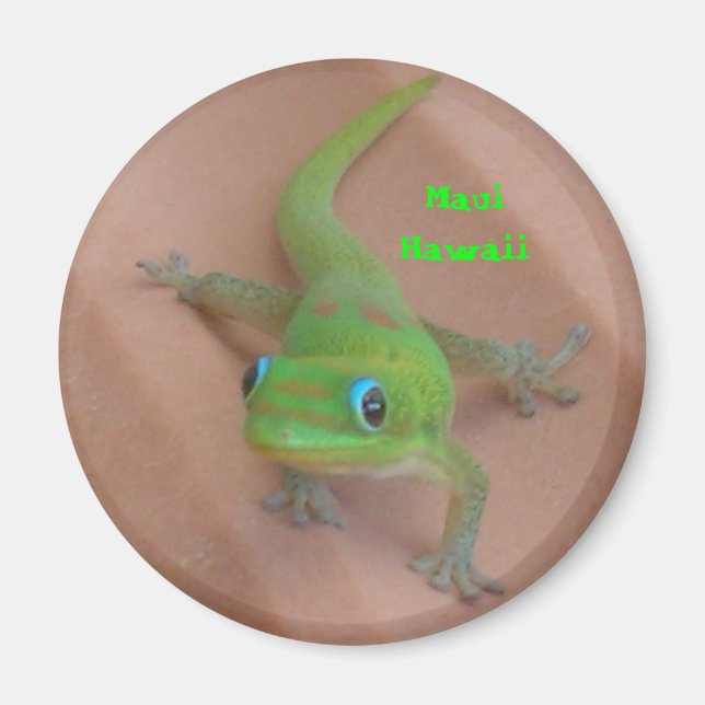 Aimant Gecko Gold Dust Day (Devant)