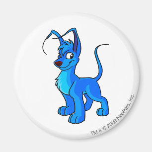 Aimant Gelert Blue