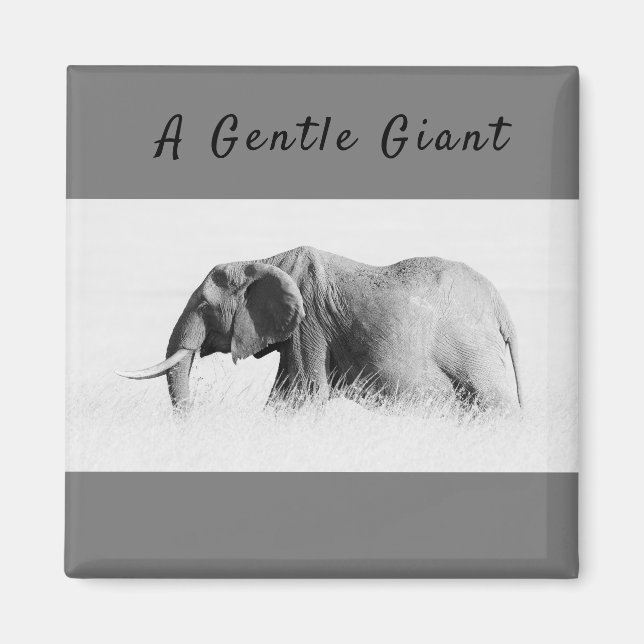 Aimant Gentle Giant Elephant haute clé photo avec texte (Devant)