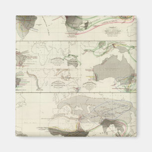 Aimant Géographie zoologique