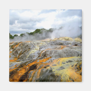 Aimant Geyser de Pohutu, Rotorua, Nouvelle Zélande