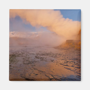 Aimant Geyser Fly dans le désert de Black Rock