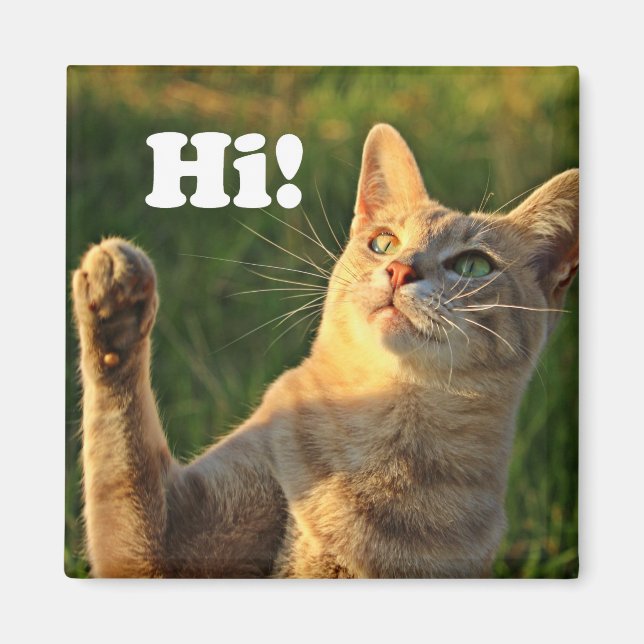 Aimant Ginger Cat Dit Bonjour ! (Devant)