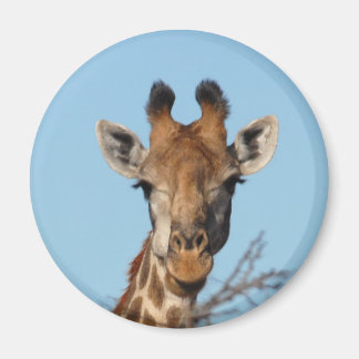 Aimant Giraffe