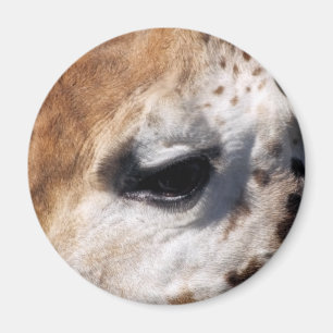 AIMANT GIRAFFE