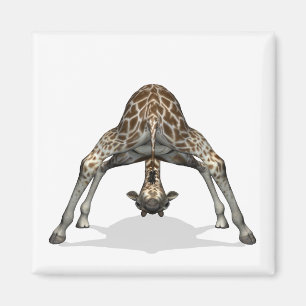 Aimant Giraffe flexible