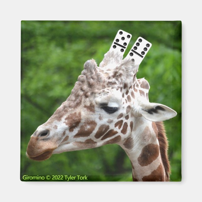 Aimant Giromino (Devant)