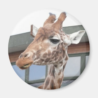 Aimant Girraffe