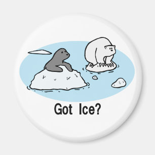 Aimant Glace obtenue ?