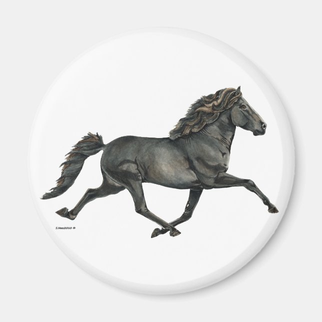 Aimant Gletta (Devant)