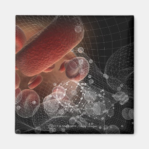 Aimant Globules rouges dans le wireframe