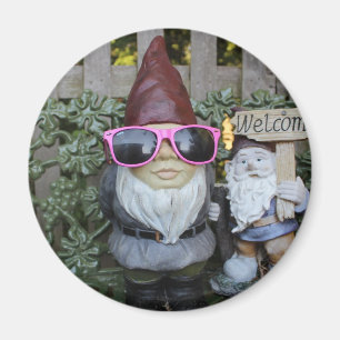 Aimant gnomies