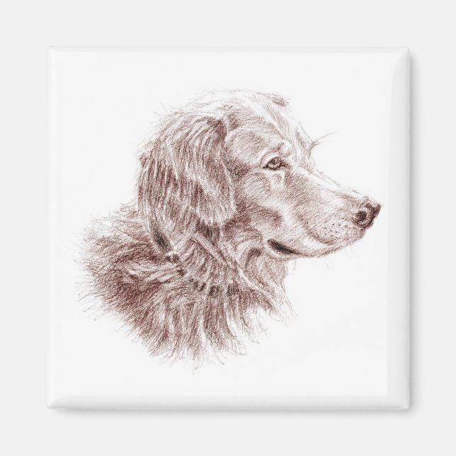 Aimant Golden Retriever (Devant)