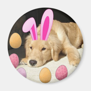 Aimant Golden Retriever de Pâques