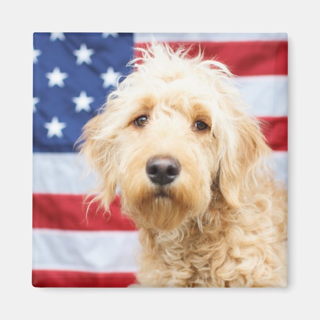 Aimant Goldendoodle avec drapeau américain (Devant)