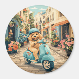 Aimant Goldendoodle Chien à scooter dans les rues europée