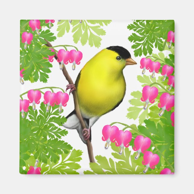Aimant Goldfinch dans l'aimant des fleurs cardiaques saig (Devant)