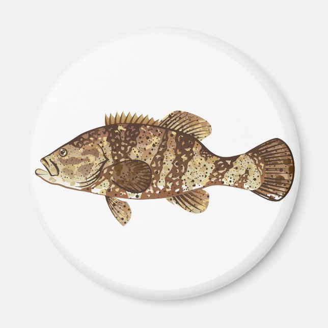 Aimant Goliath Grouper Gamefish, illustration vectorielle (Devant)