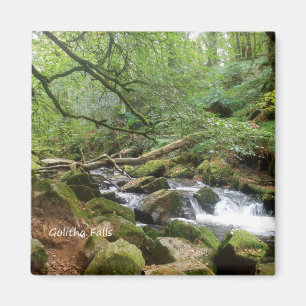 Aimant Golitha Falls River Fowey Cornwall Angleterre