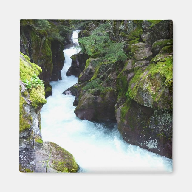 Aimant Gorge d'avalanche I au parc national Glacier (Devant)