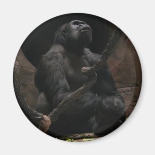 Aimant Gorilla /Magnet rond