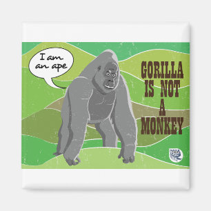 Aimant Gorilla n'est pas un singe