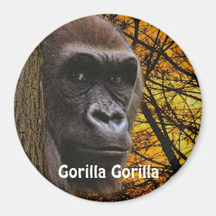 Aimant Gorille africaine en voie de disparition Grand Ape