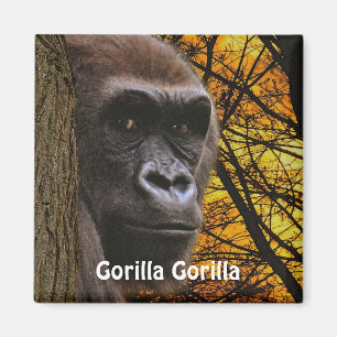 Aimant Gorille africaine en voie de disparition Grand Ape