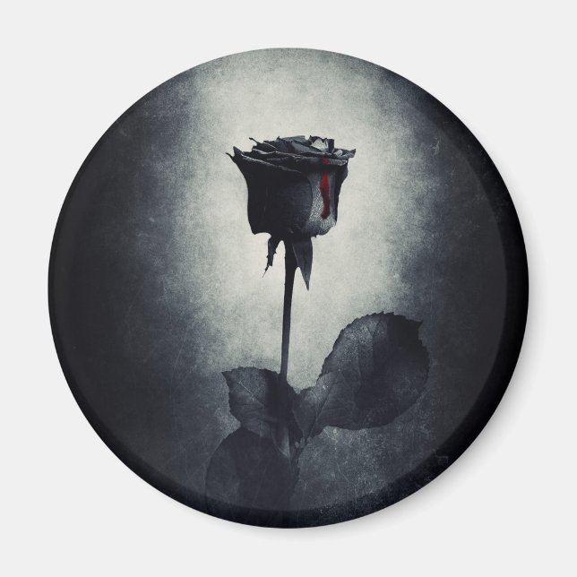 Aimant Goth Rose noir goutte de sang sur le Grunge noir (Devant)