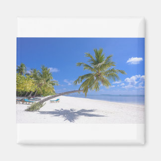 Aimant Grace Bay, Turcs & Caicos Sable & Blue Ocean Waves