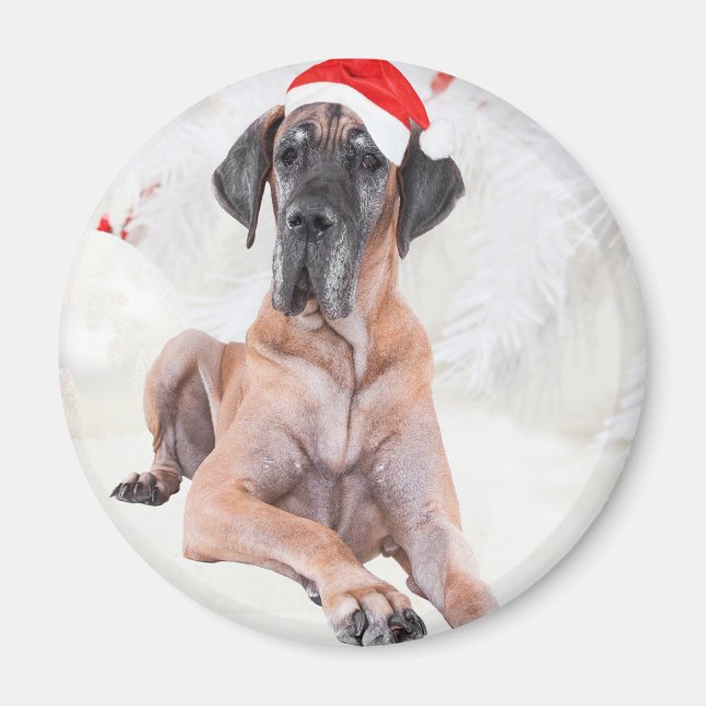 Aimant Grand chien Danse Casquette Joyeux Noël (Devant)