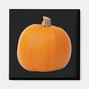 Aimant Grand Citrouille de récolte d'automne orange
