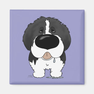 Aimant Grand nez Terre-Neuve